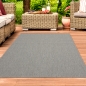 Preview: Klassisch-moderner Sisal Teppich Wintergarten in grau