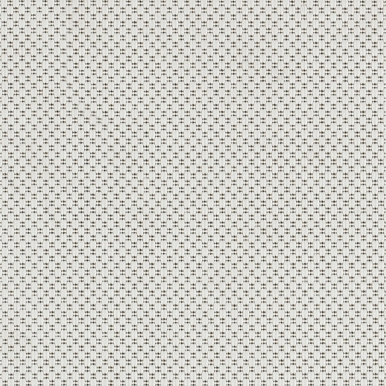 Teppich Modern Sisal In- & Outdoor creme